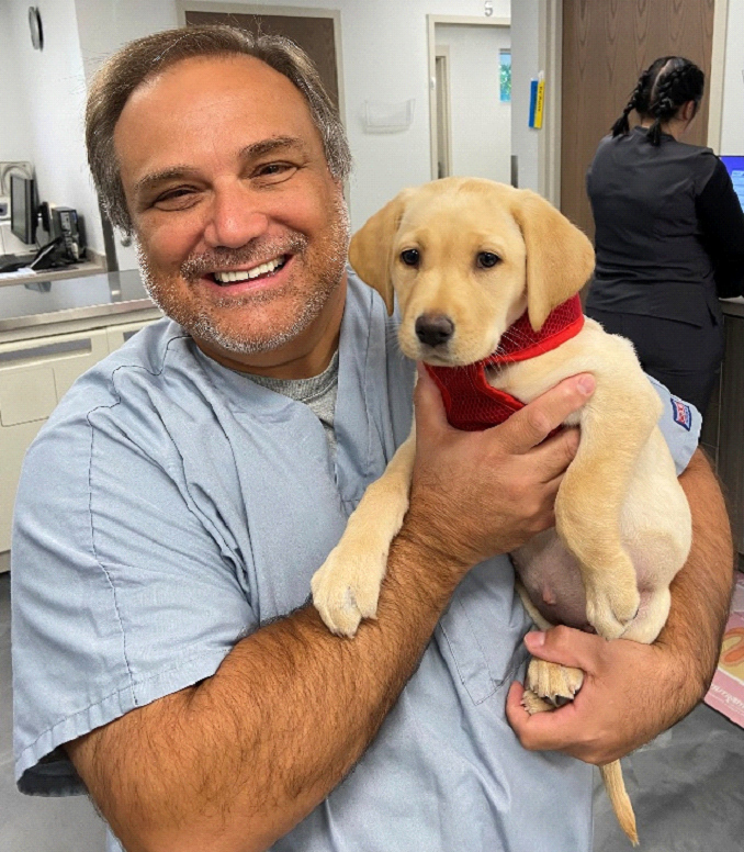 David Morales, DVM